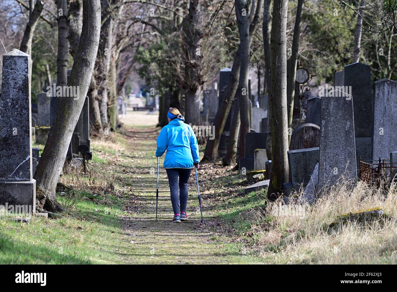 Fit, Fitness Foto Stock