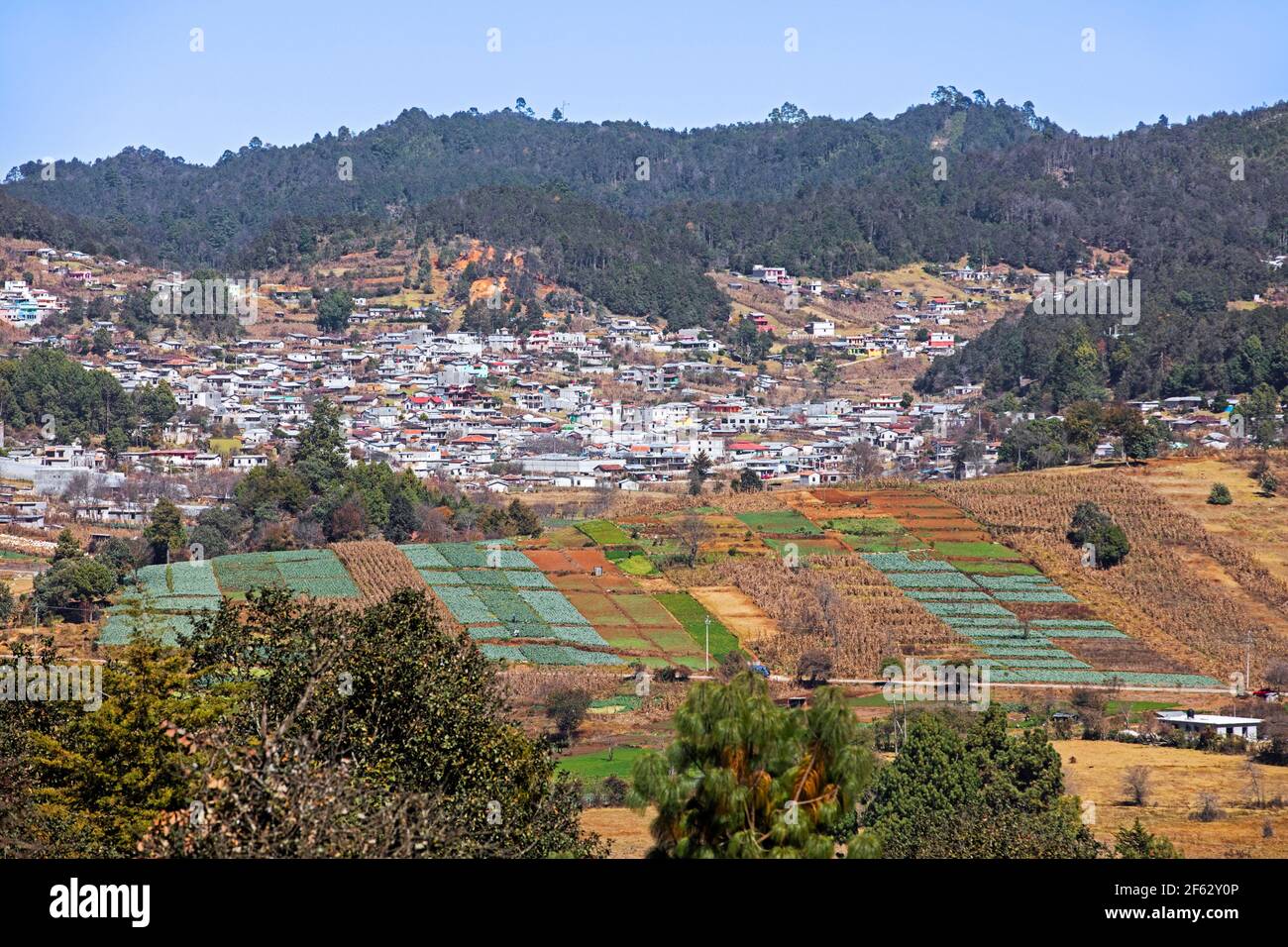 Colture su campi agricoli e villaggio negli altopiani Chiapas vicino alla città di San Juan Chamula, Chiapas, Messico meridionale Foto Stock