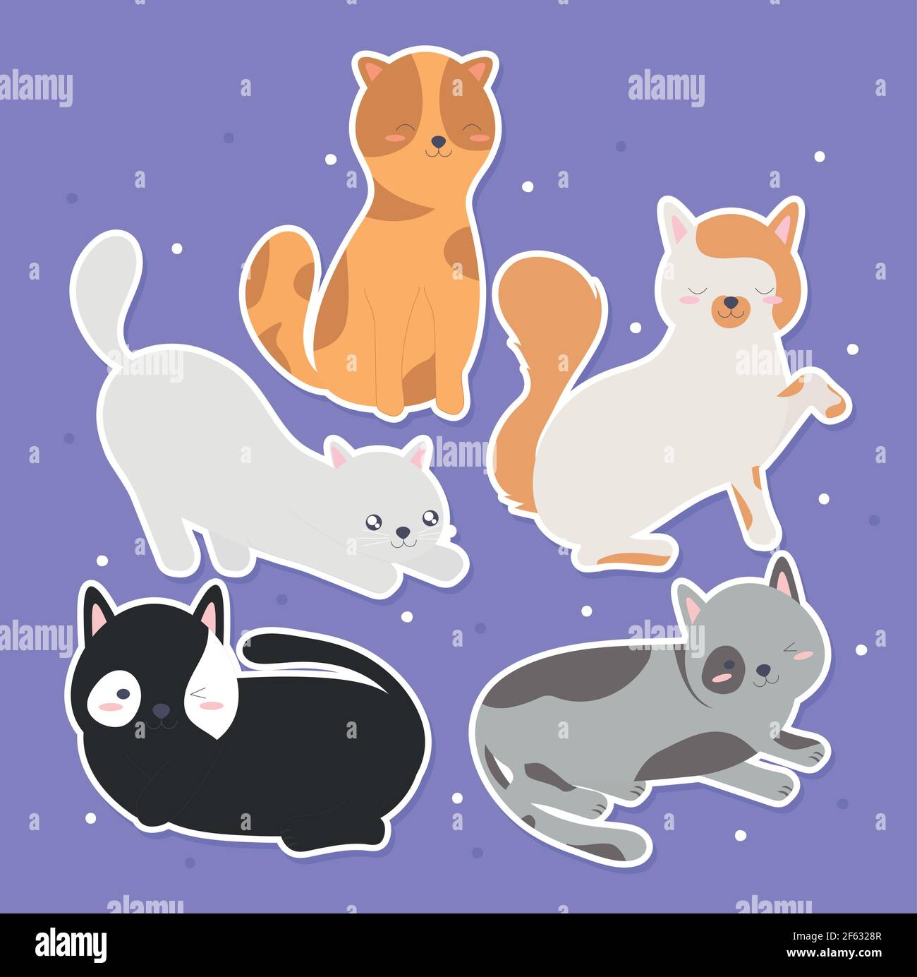 sei bellissimi gatti Illustrazione Vettoriale