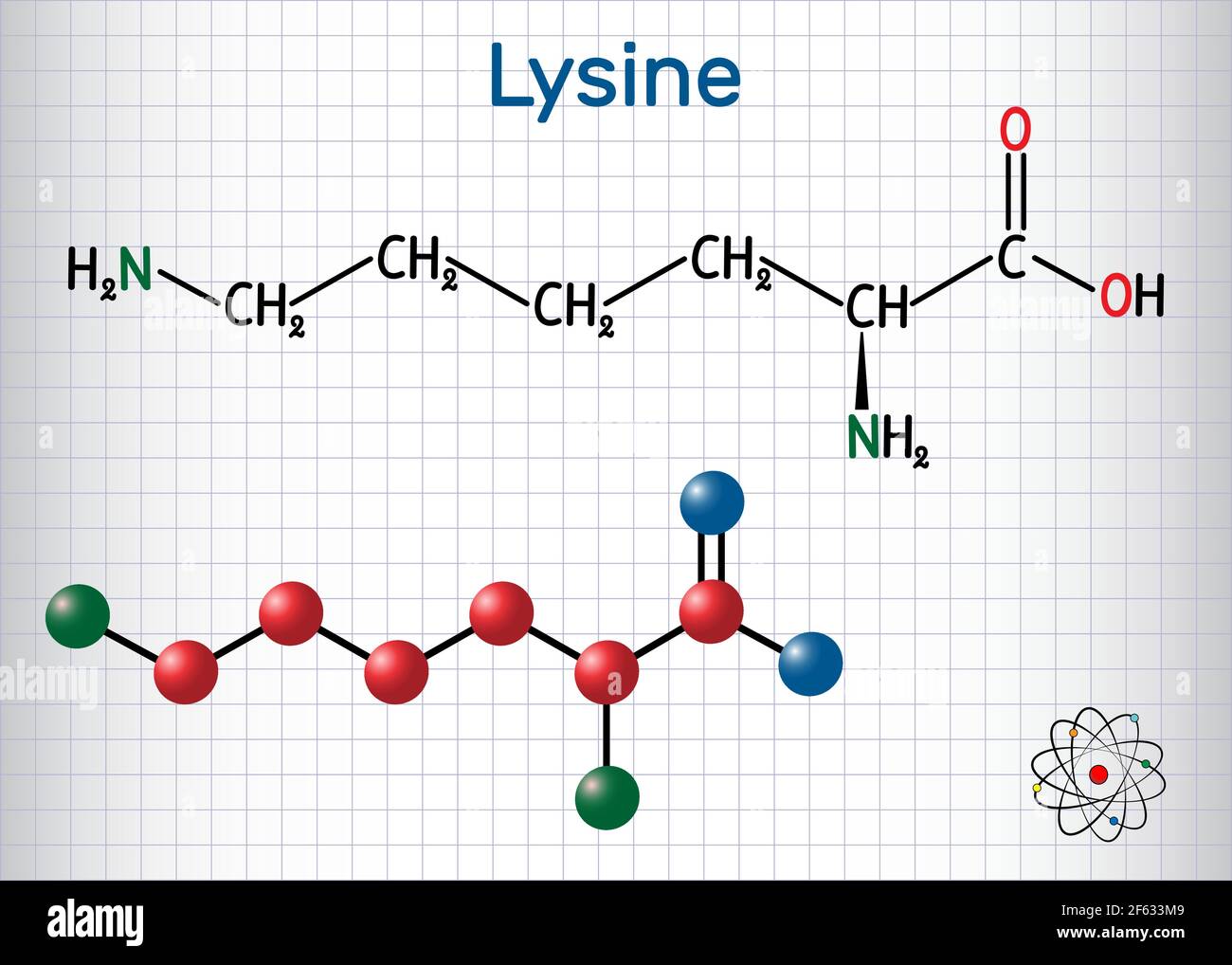 Molecola aminoacidica di lisina (L-lisina, Lys, K). È usato nella biosintesi delle proteine. Foglio di carta in gabbia. Formula chimica strutturale e. Illustrazione Vettoriale