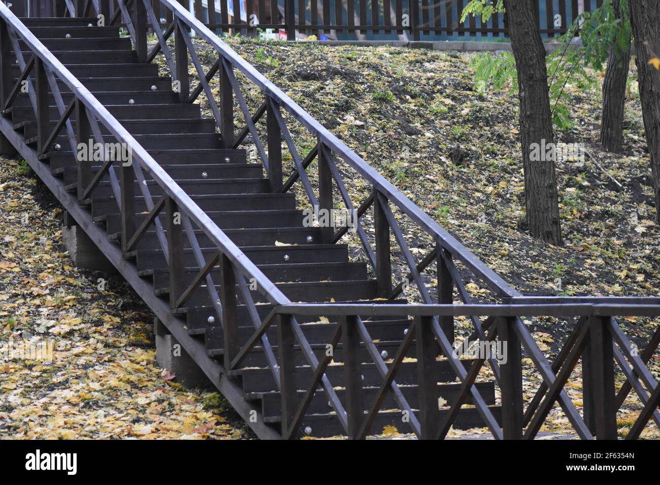 Foglie di autunno Foto Stock