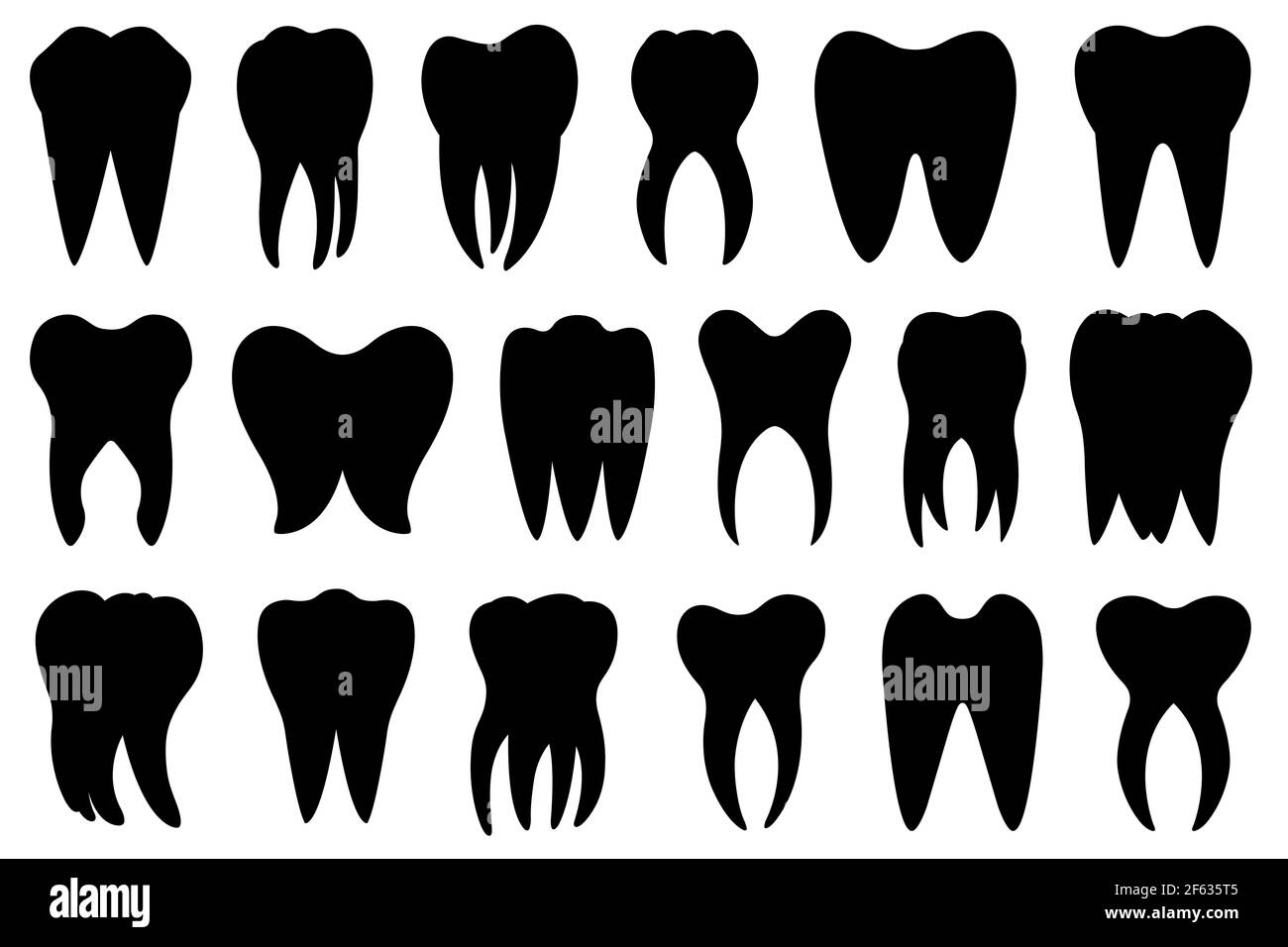Set di denti diversi isolati su bianco Foto Stock