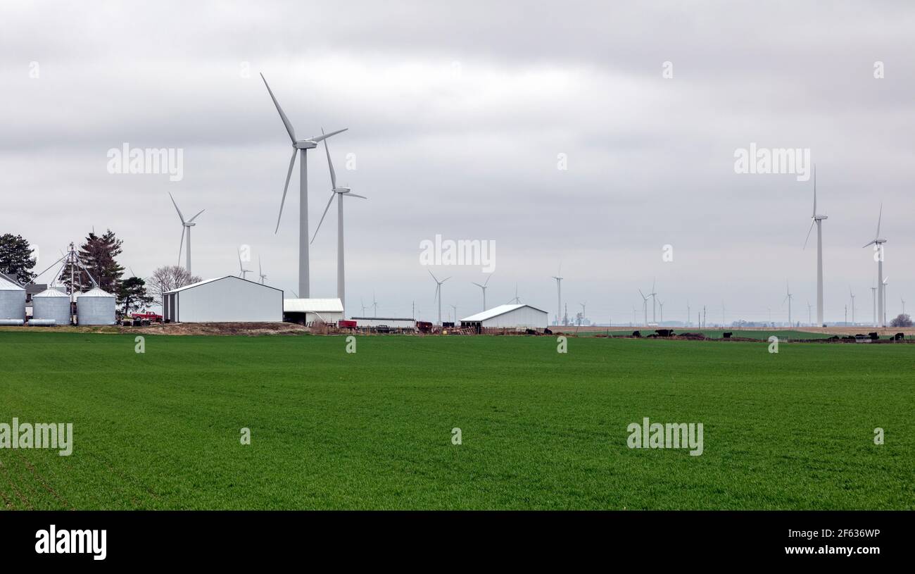Turbine eoliche, area rurale agricola, Indiana, USA, di James D Coppinger/Dembinsky Photo Assoc Foto Stock