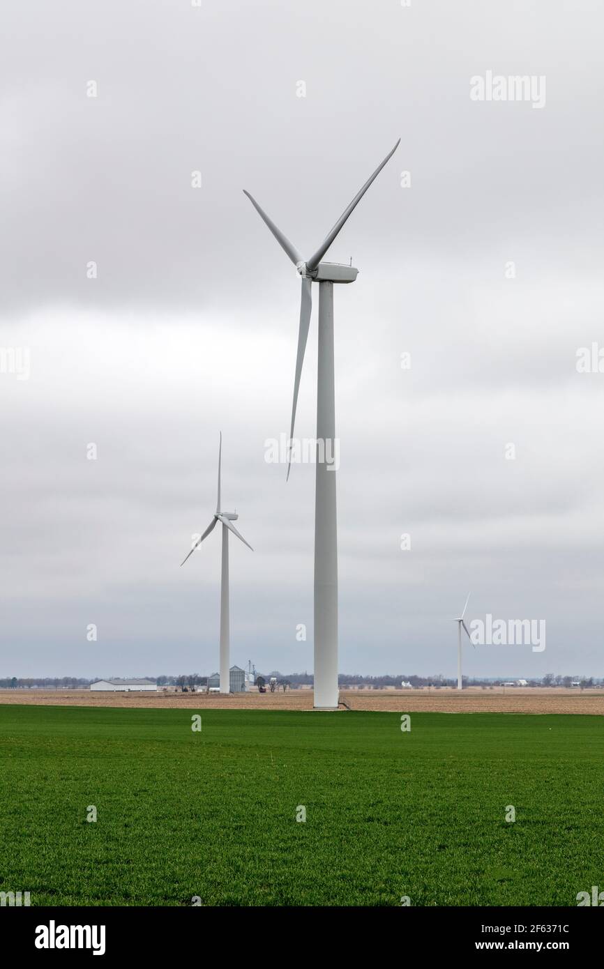 Turbine eoliche, area rurale agricola, Indiana, USA, di James D Coppinger/Dembinsky Photo Assoc Foto Stock