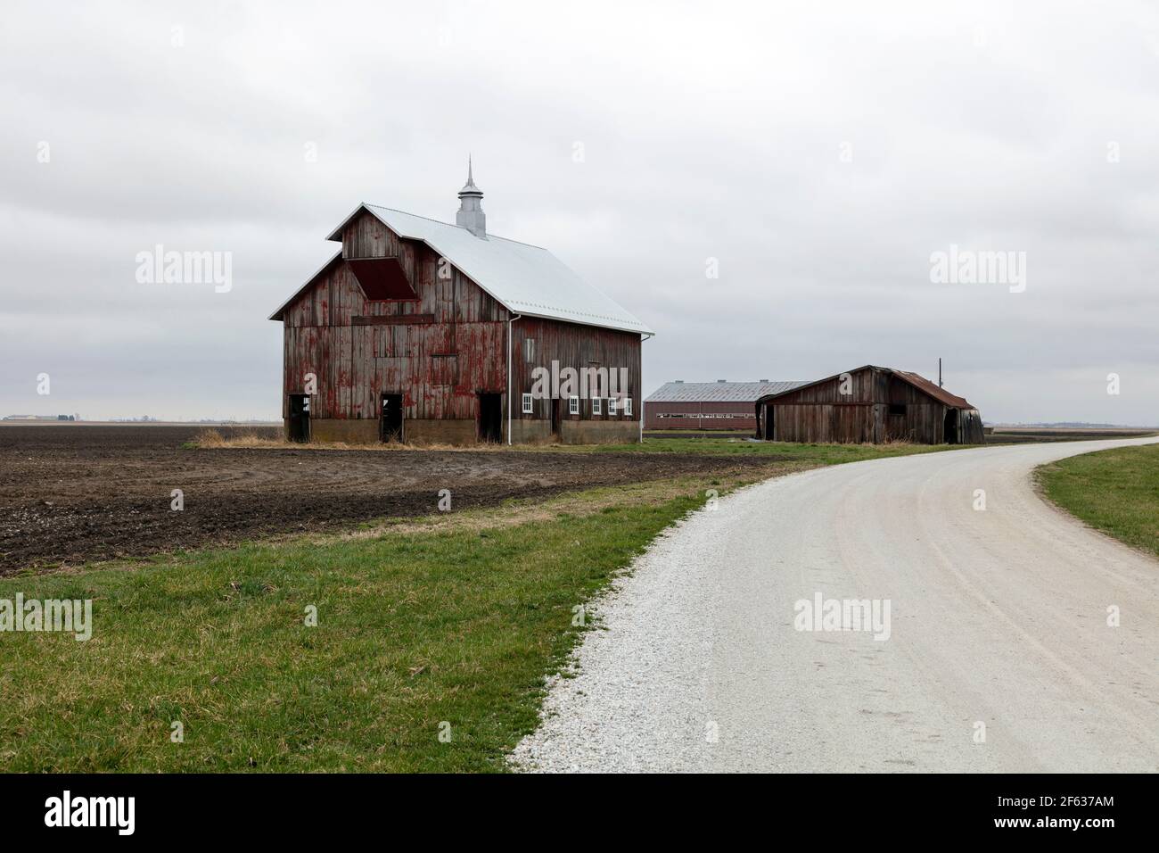 Fienili, fattoria Amish, primavera precoce, Indiana, Stati Uniti, Di James D Coppinger/Dembinsky Photo Assoc Foto Stock