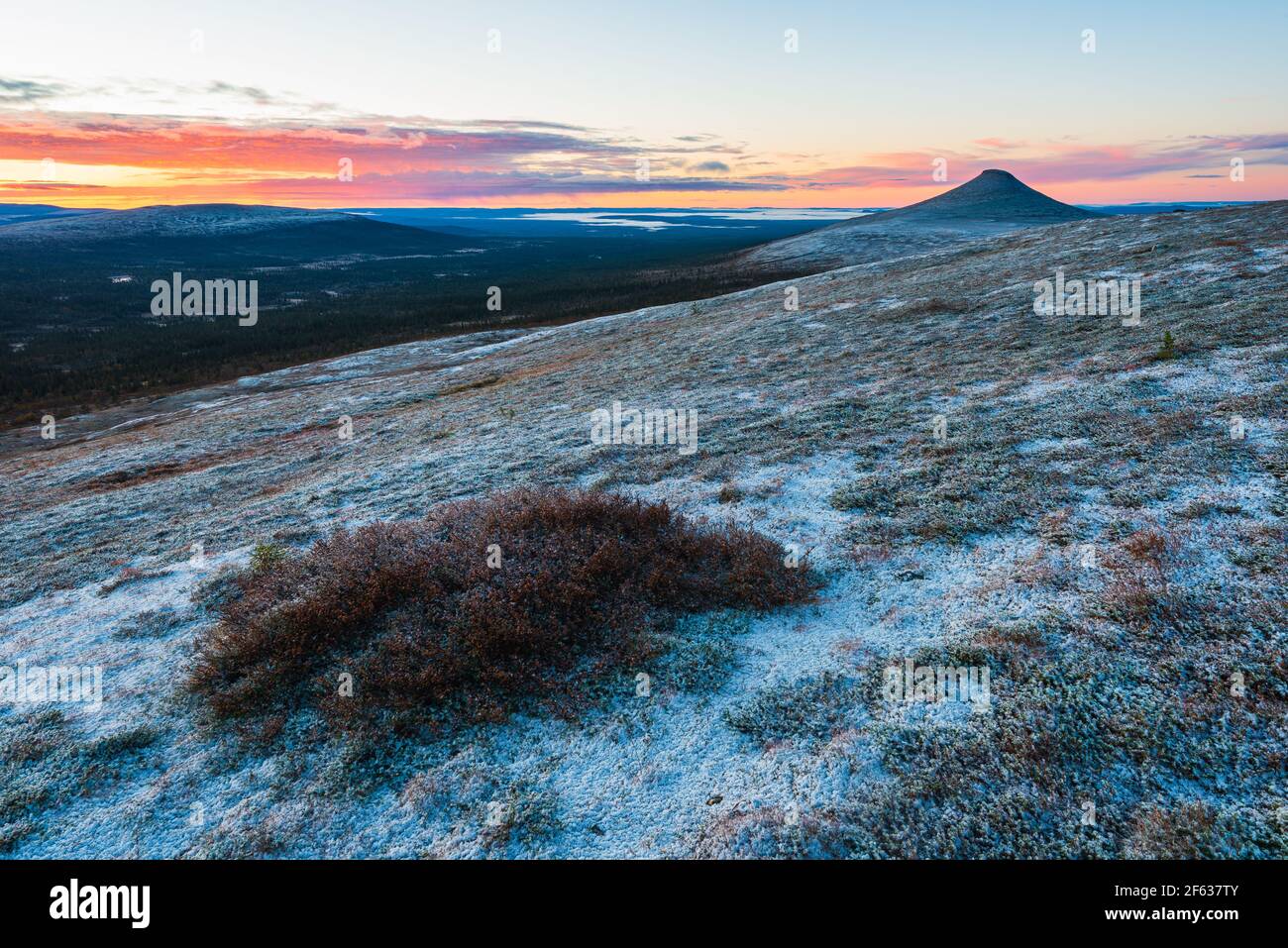 Neve fresca in montagna all'alba Foto Stock