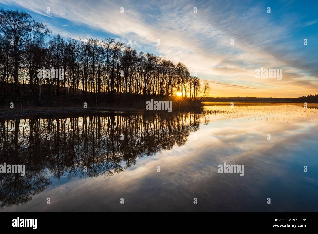 Sole che splende attraverso gli alberi sul lago fermo Foto Stock