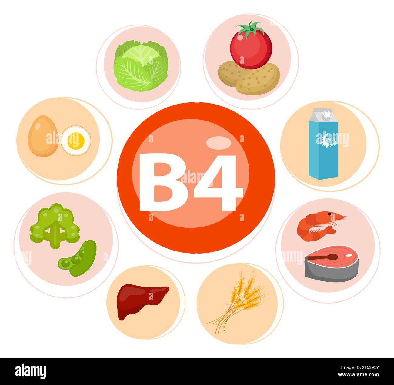 Infografica sulla nutrizione della vitamina B4 con le icone mediche e alimentari dieta, cibo sano e concetto di benessere. Illustrazione Vettoriale