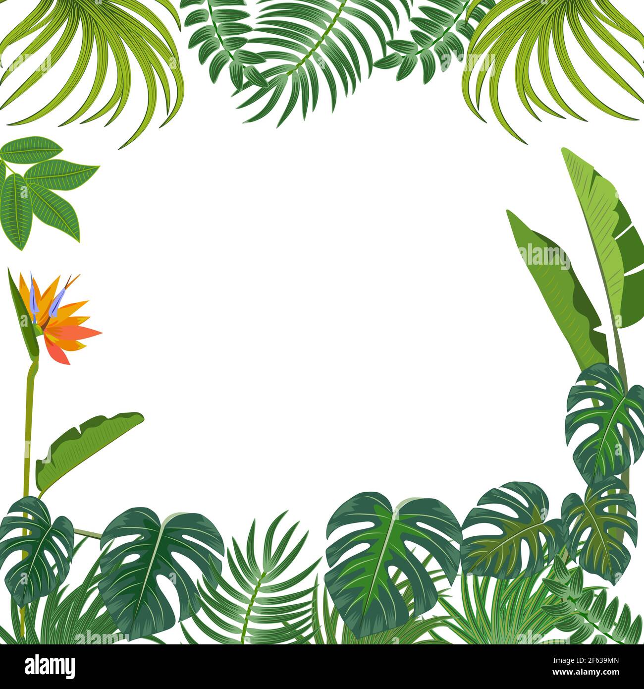 Sfondo della giungla tropicale vettoriale con palme, fiori e foglie. Illustrazione Vettoriale