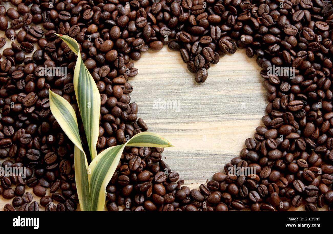 Coffee Beans a forma di cuore sulla parte superiore del tavolo foto di scorta Foto Stock