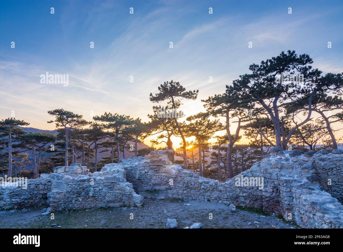 Maria Enzersdorf: Rovina Pfefferbüchsel, albero Schwarzföhre (pino), donna sulla roccia al tramonto, parco naturale Naturpark Föhrenberge a Wienerwald, Bosco di Vienna Foto Stock