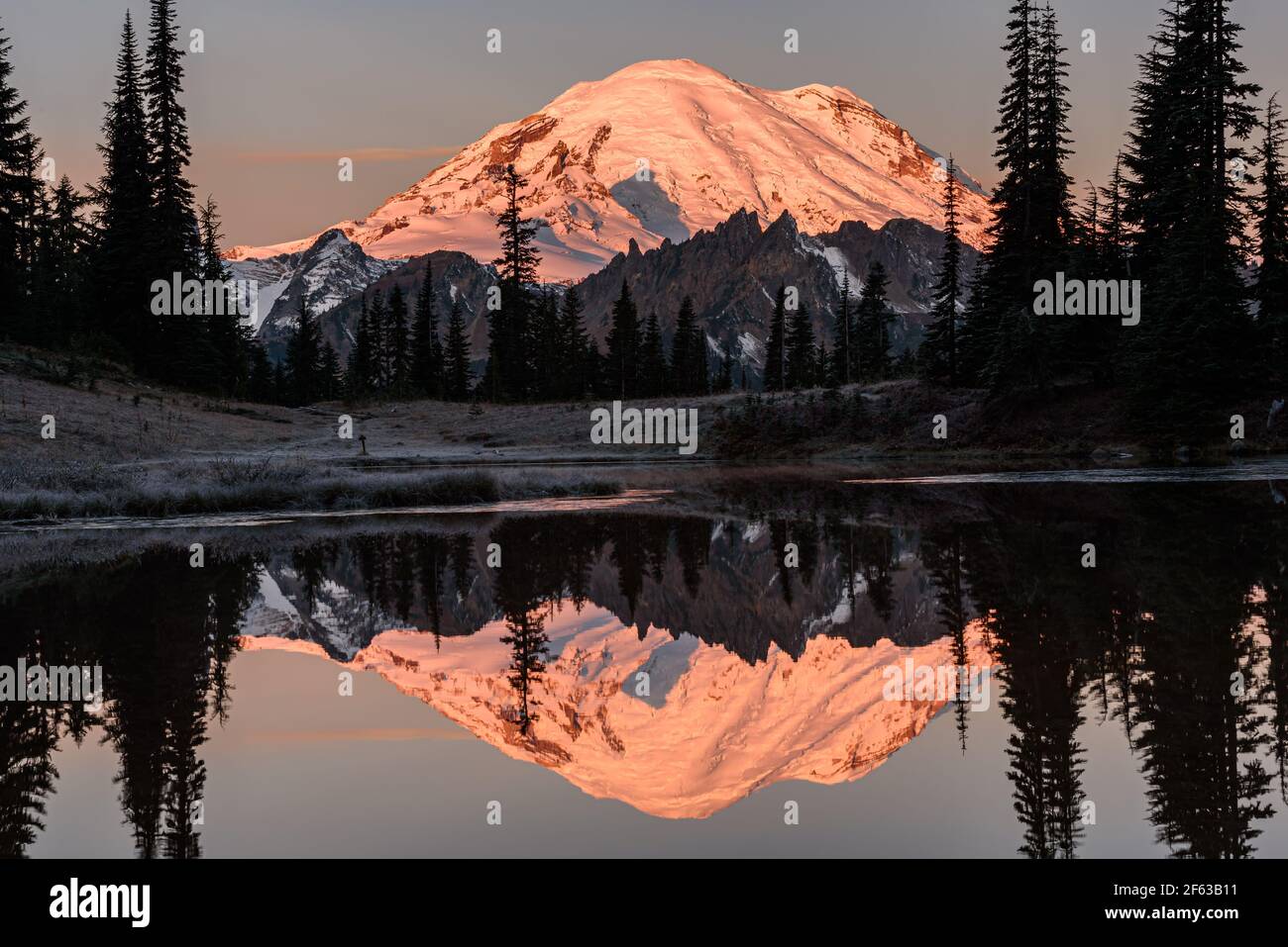 Il Monte Rainier si riflette nell'Alto Lago di Tipsoo mentre alpenglow si illumina Il picco vulcanico nel Parco Nazionale nello Stato di Washington Foto Stock