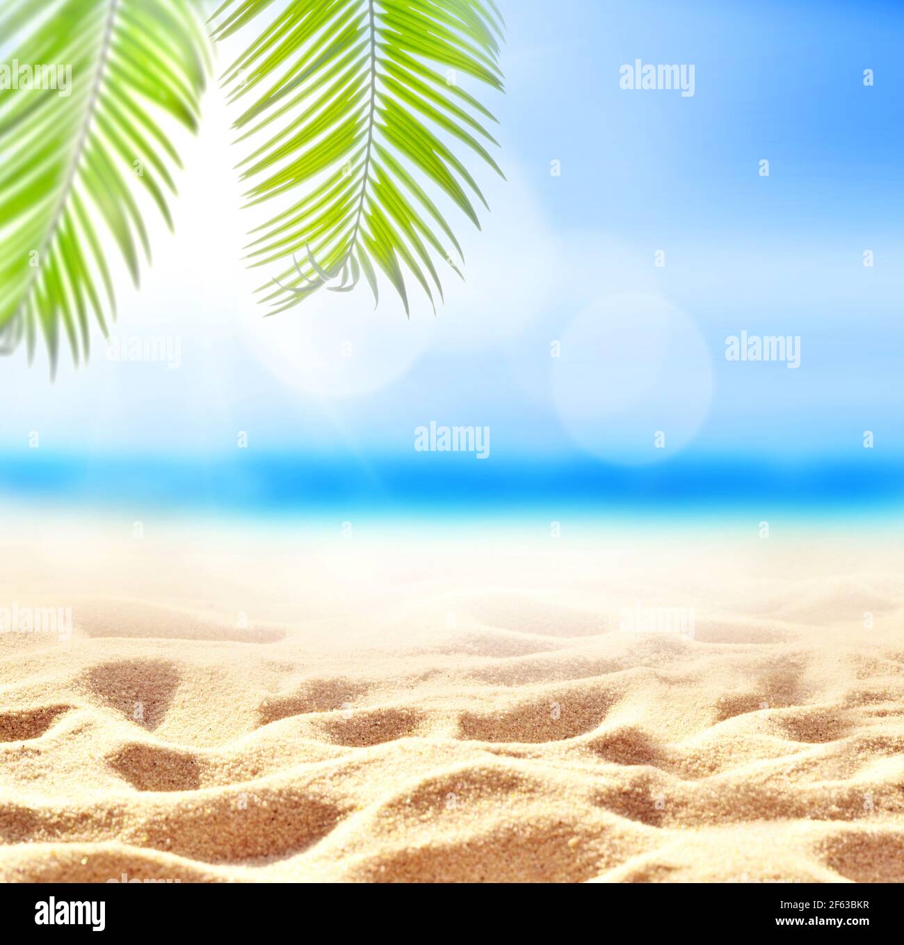 Ramo di Palm sulla spiaggia di sabbia. Ora legale. Foto Stock