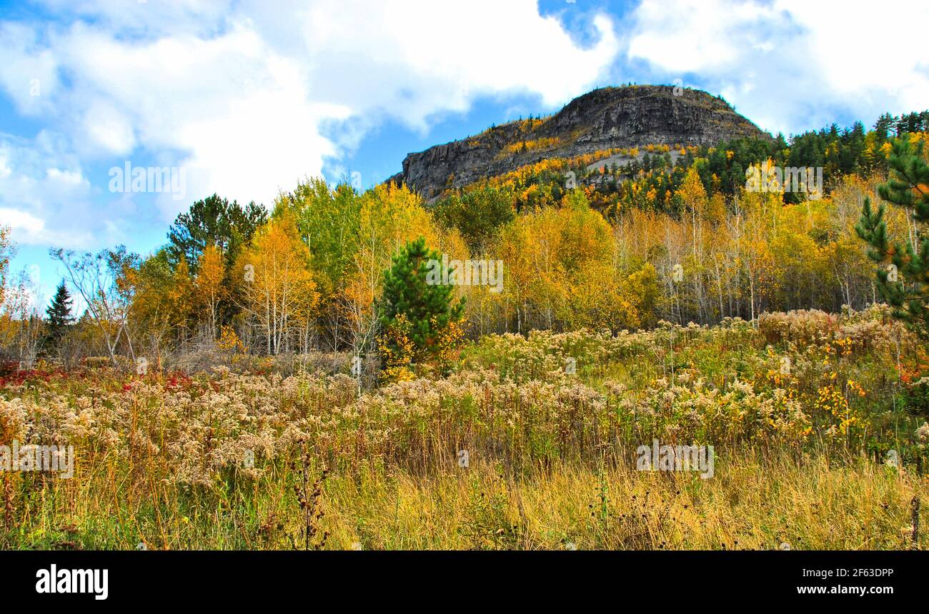 Colori di autunno in erba e alberi con la cima del Monte McKay sullo sfondo in una giornata di sole in autunno. Foto Stock