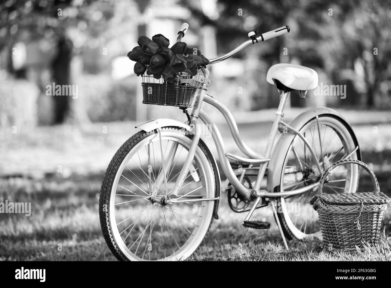 Vintage fantasia bici fiore giardino sfondo. Noleggia una bicicletta per  esplorare la città. Escursione in bicicletta nella natura. Bicicletta retrò  con cestino da picnic. Negozi di noleggio biciclette Foto stock - Alamy