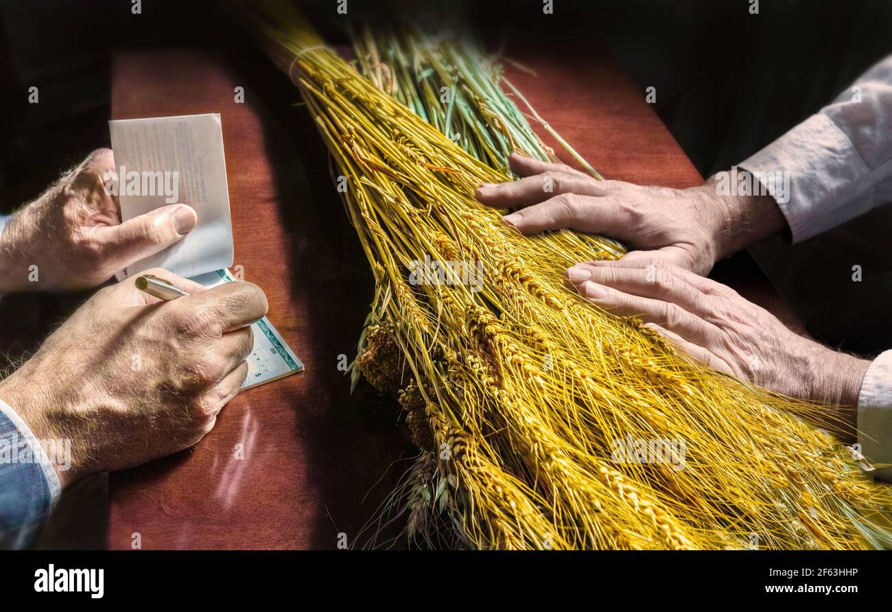 Due paia di mani da uomo; una coppia prepara l'assegno a pagare, l'altra coppia di mani presenta il prodotto in vendita: Il grano. Foto Stock