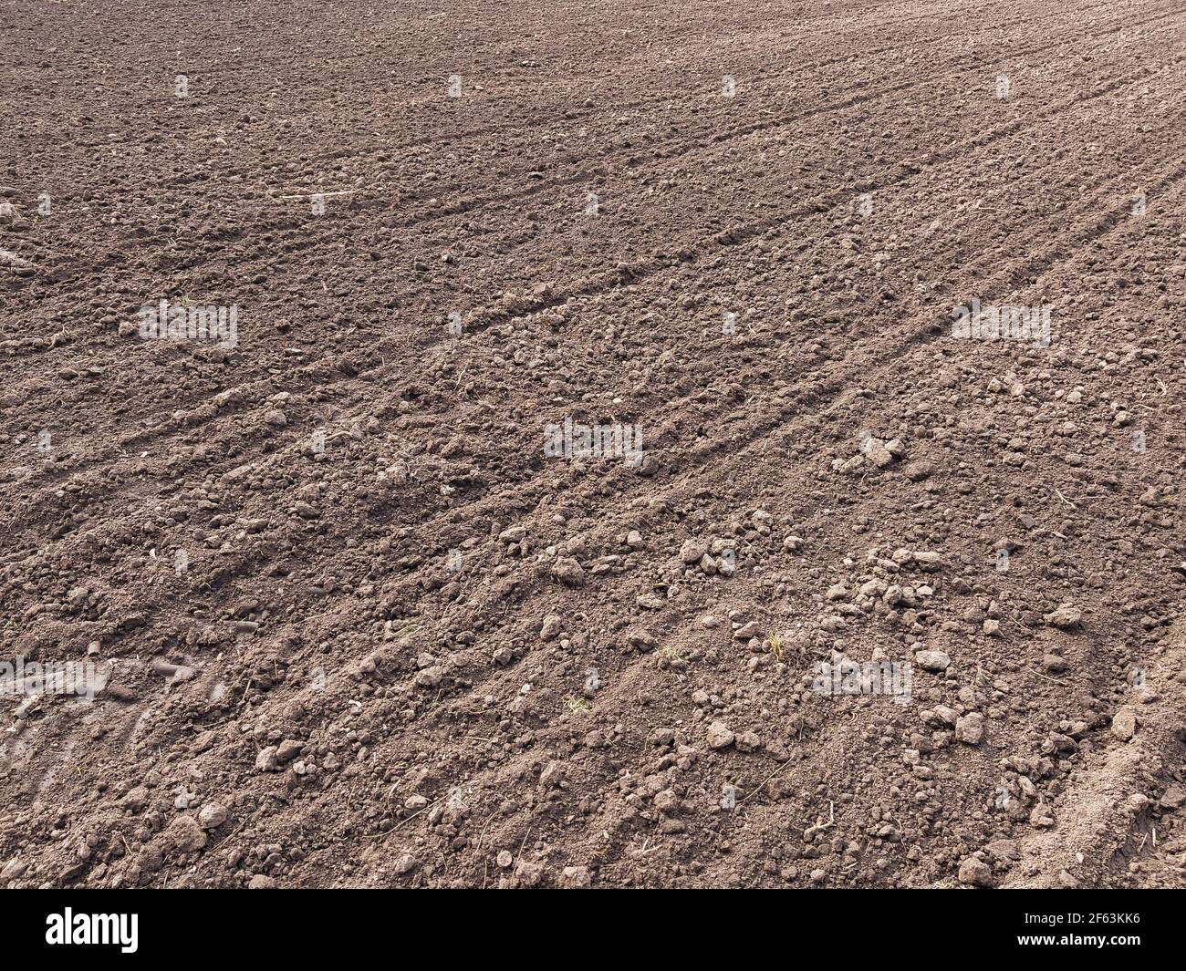 Terra arabile. Preparazione di campo per piantare. Arato suolo in primavera tempo . Lavori agricoli. Foto Stock