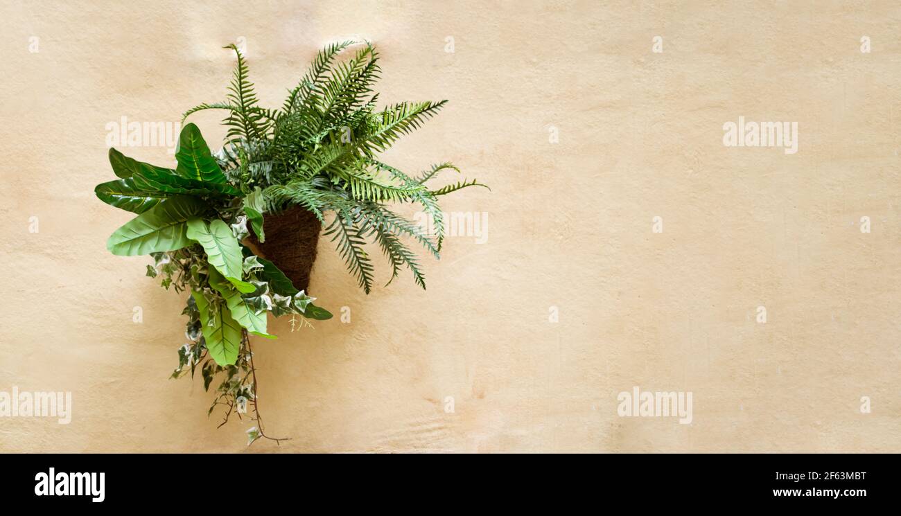 Vaso di fiori e piante fatto di Thatch appeso su un vecchio muro di argilla con uno spazio di scrittura. Foto Stock