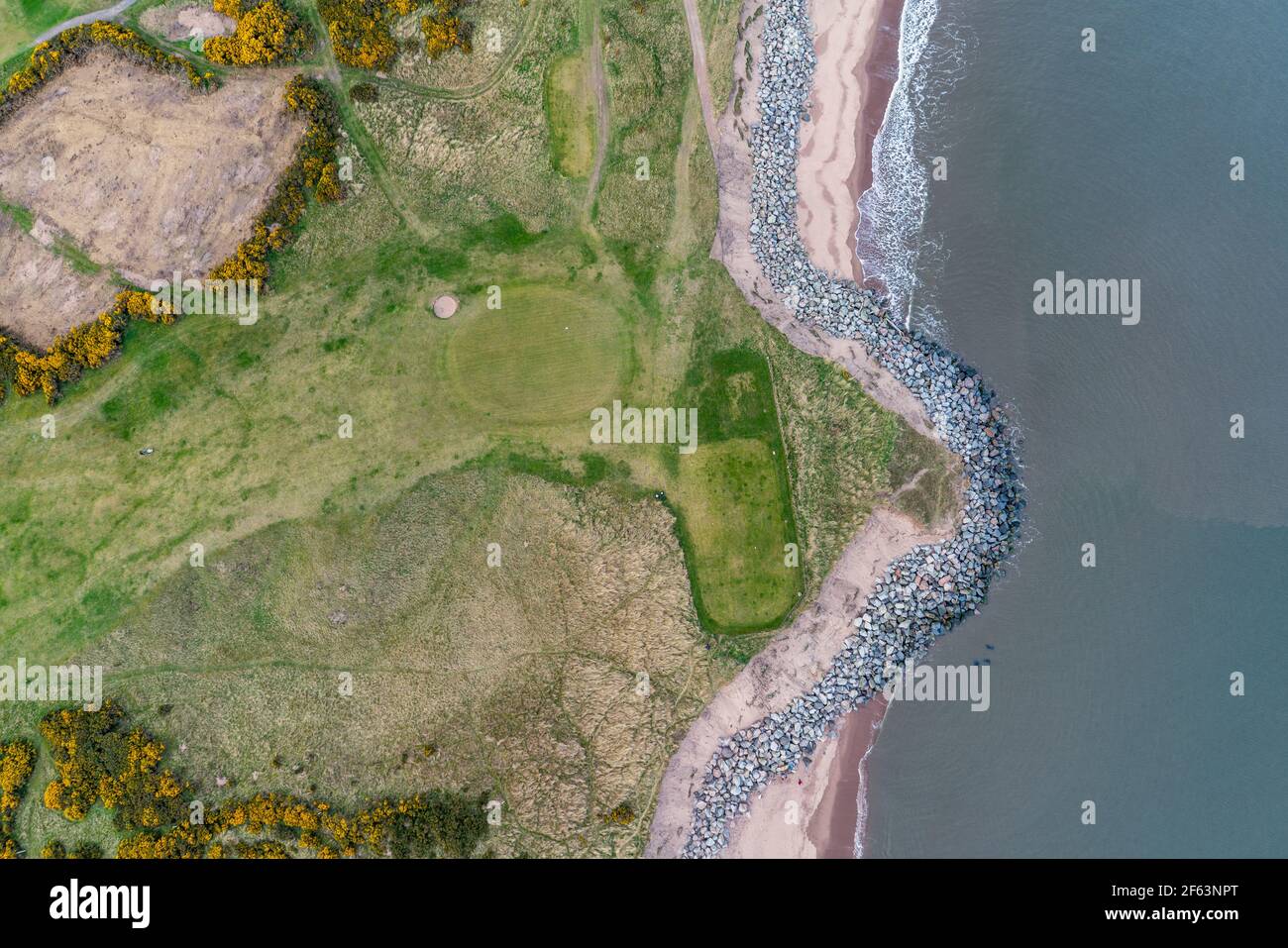 Montrose, Angus, Scozia: Erosione lungo la costa di montrose, che colpisce il quinto campo da golf più antico del mondo. Foto Stock