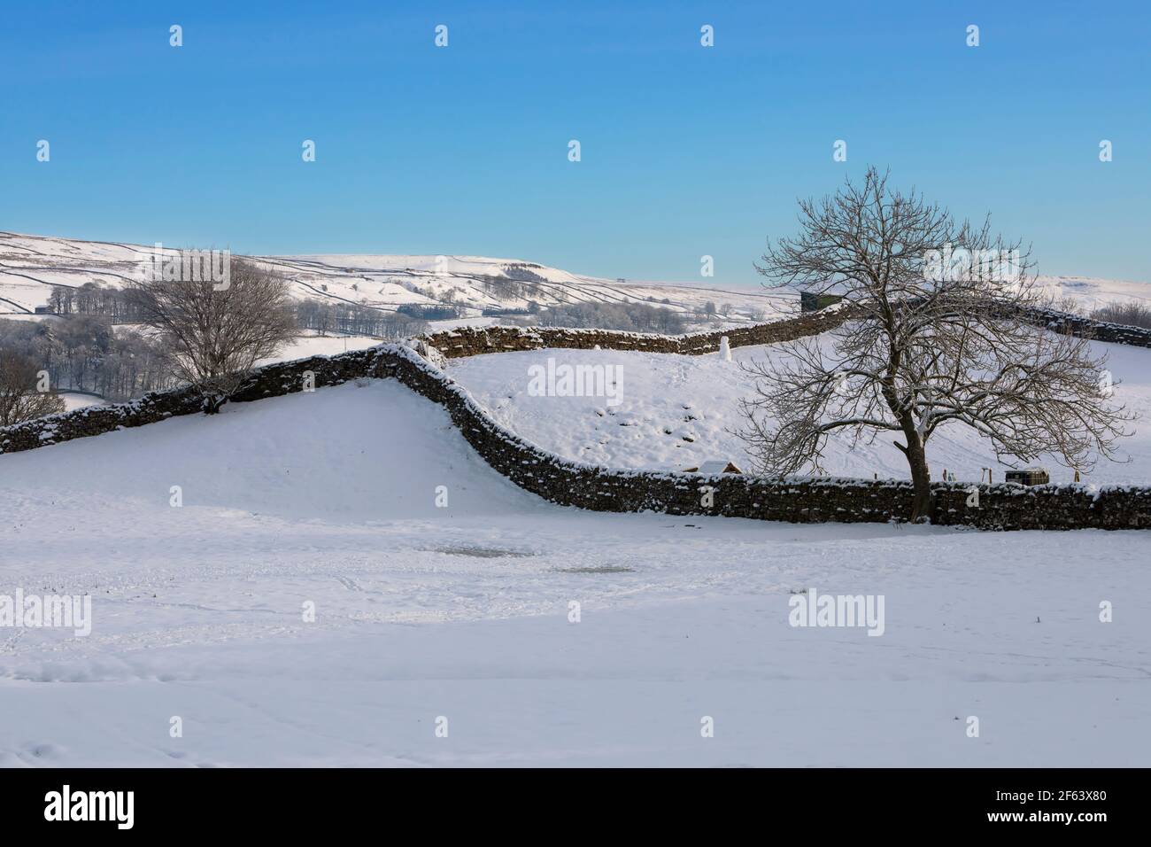 Neve fresca su campi e muri di pietra, Hawes, Wensleydale, Yorkshire Dales National Park Foto Stock