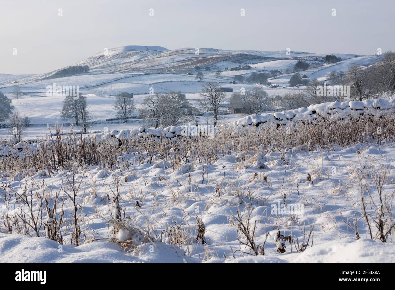 Neve fresca su campi e muri di pietra, Hawes, Wensleydale, Yorkshire Dales National Park Foto Stock