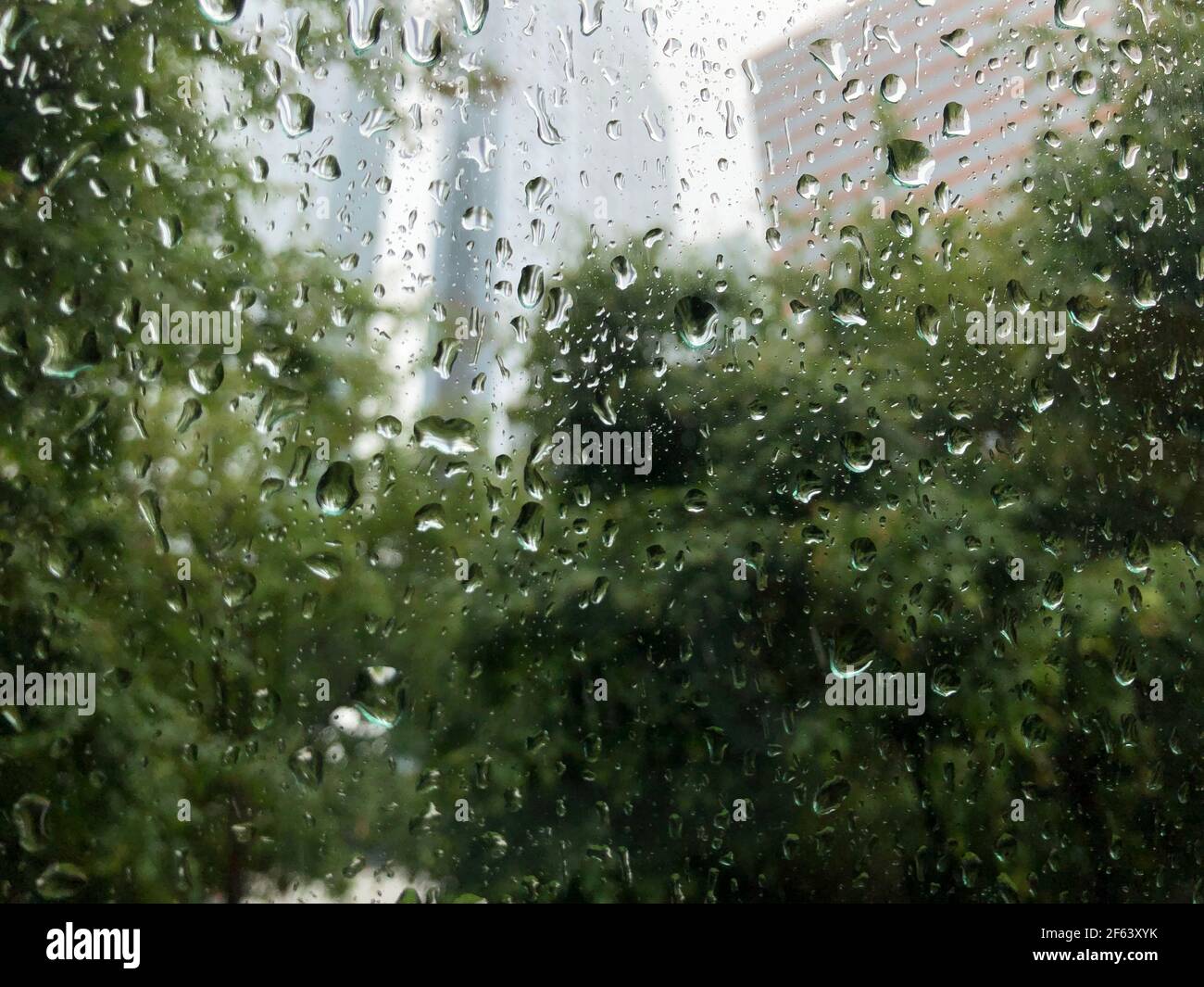Un altro giorno piovoso in città che non dorme mai, continuo a perdermi nelle gocce di pioggia sulla mia finestra, mentre girano la città ora tranquilla capovolta. Foto Stock