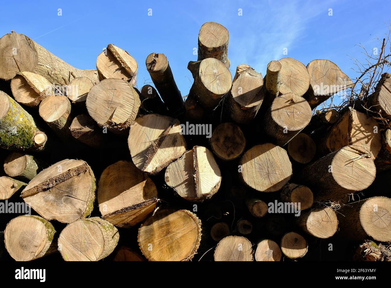 Grande mucchio di legno all'aperto in un campo in Francia Foto Stock