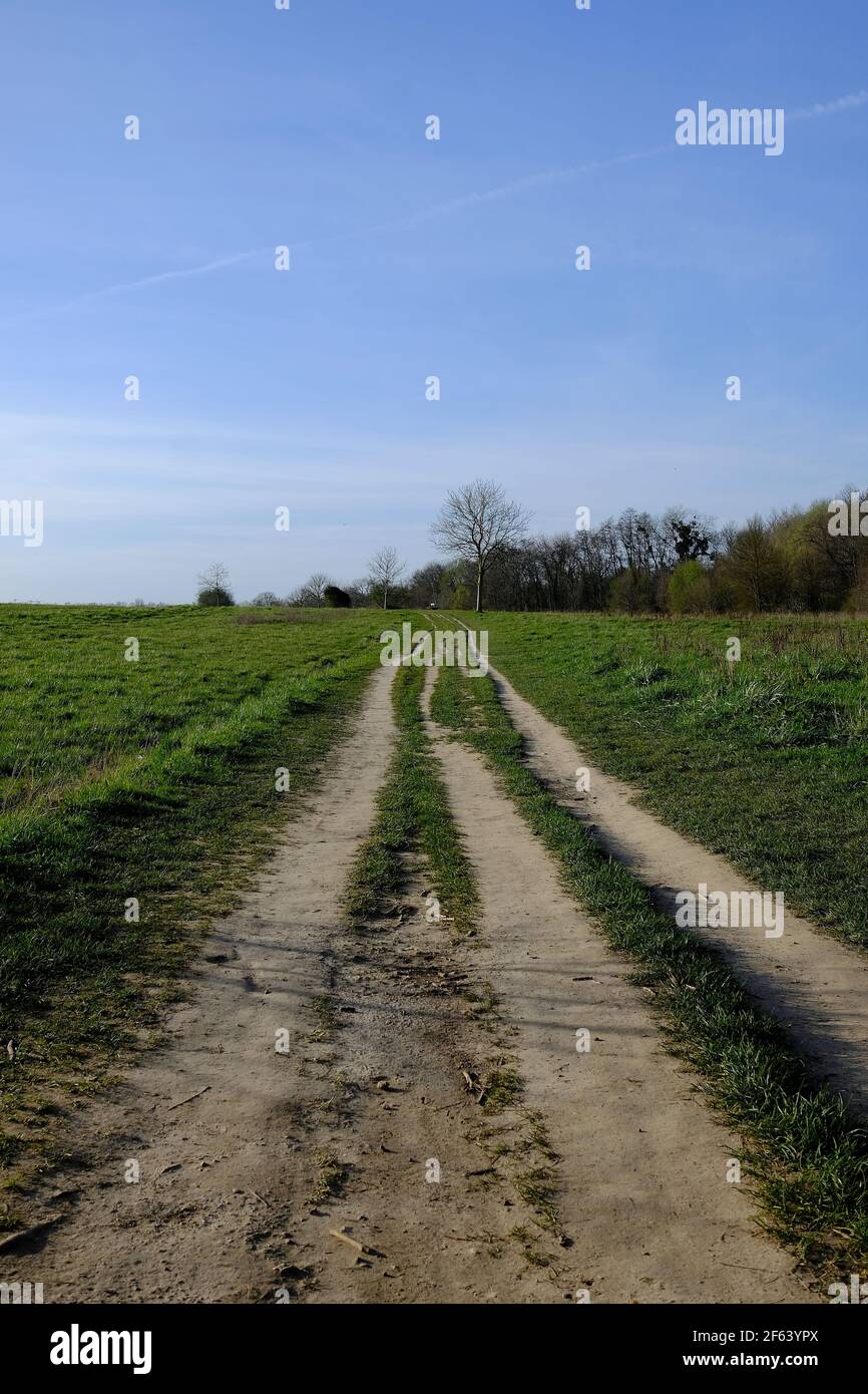 Bellissimo percorso agricolo nel nord della Francia in una giornata di sole Foto Stock