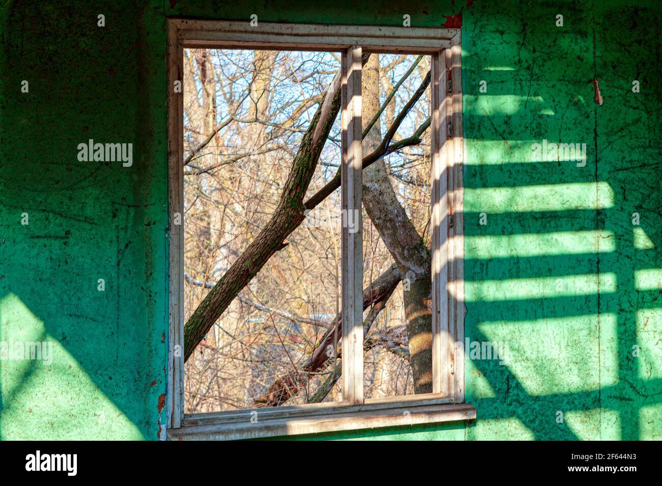Interno muro verde invecchiato con finestra rotta , parte di casa abbandonata . Ombra astratta sul vecchio muro Foto Stock