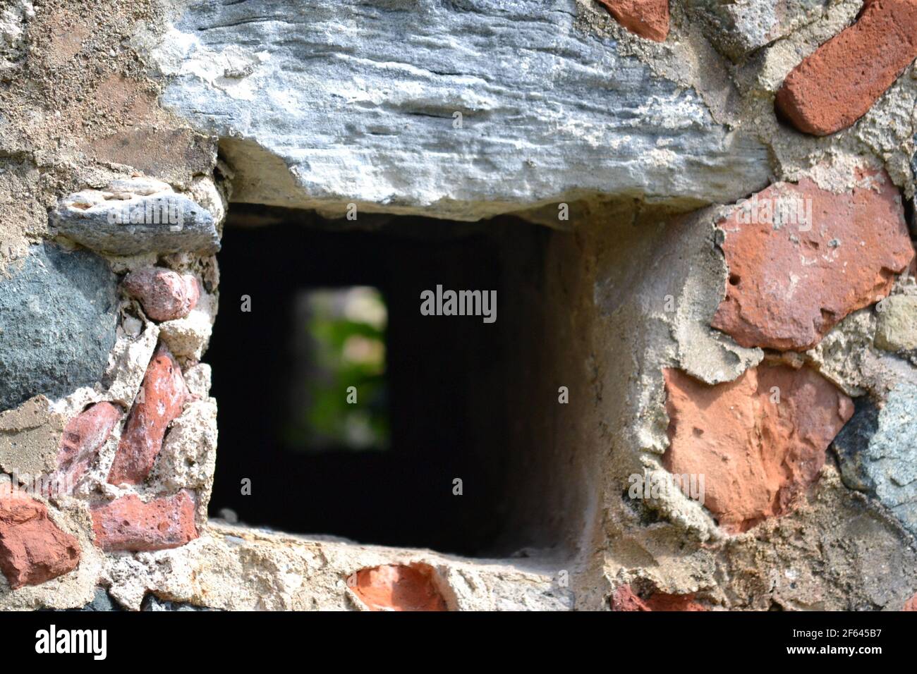 Boa, Caraibi, USVI, San Tommaso, San Giovanni, granchio giallo, buco nella parete, zucchermill Foto Stock