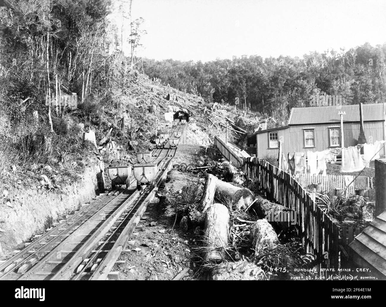 Vagoni di carbone sul pendio ferroviario all'entrata della miniera di carbone di Dunollie, Nuova Zelanda, circa 1910. Foto di Muir Moodie di Dunedin Foto Stock