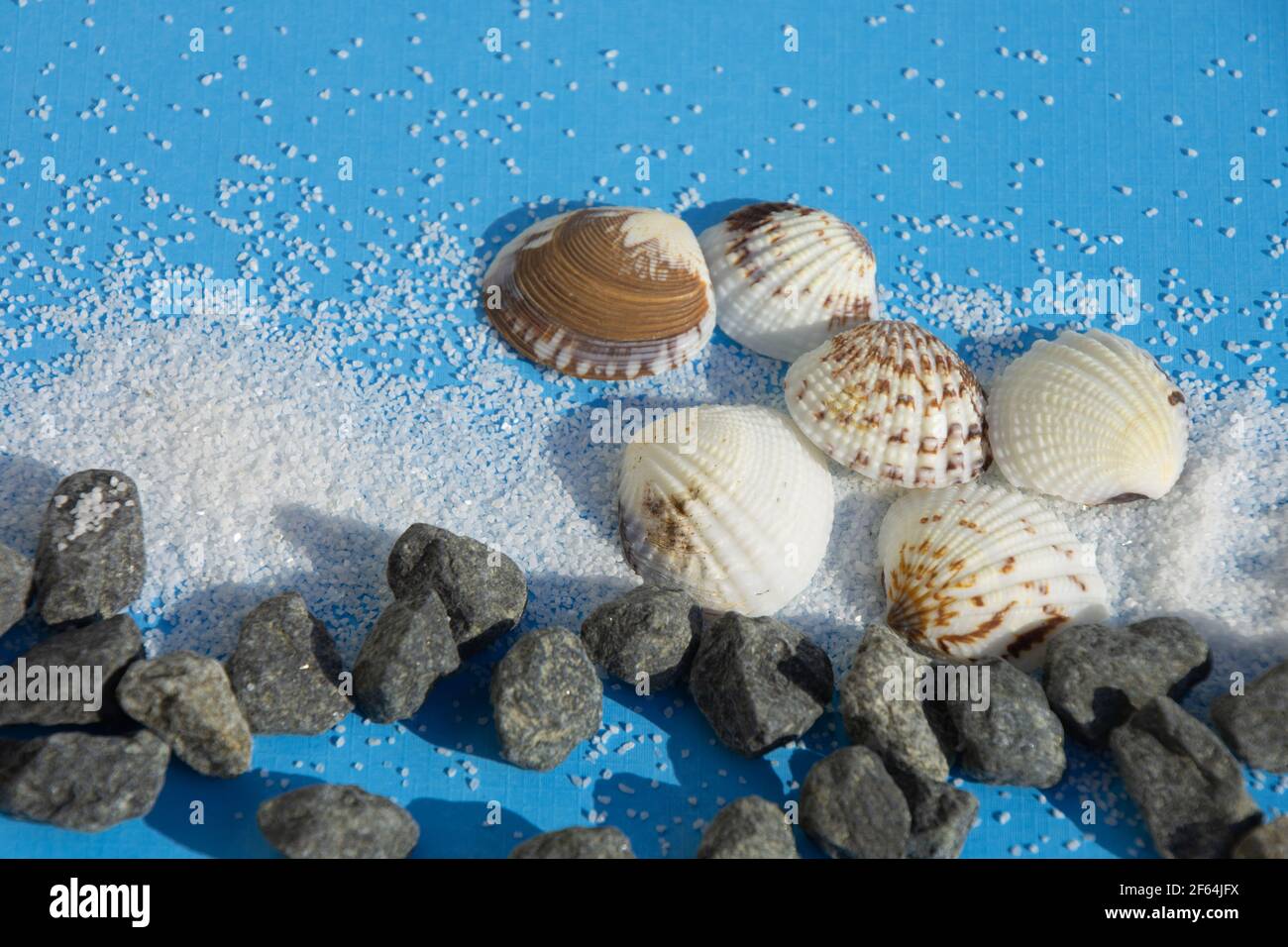 vista dall'alto dello sfondo testurizzato con sabbia e conchiglie carta blu come acqua limpida Foto Stock