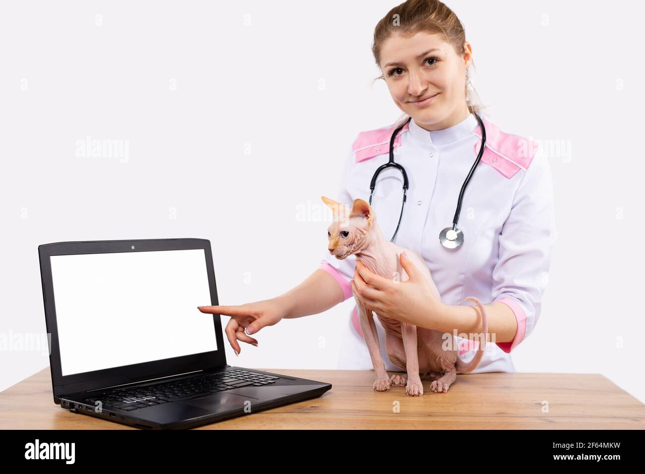 Servizio di cura degli animali online. Consultazione veterinaria del gatto sfinge su computer portatile mock-up. Vet medico abbracciare animale domestico mostrando indice a schermo pc vuoto Foto Stock