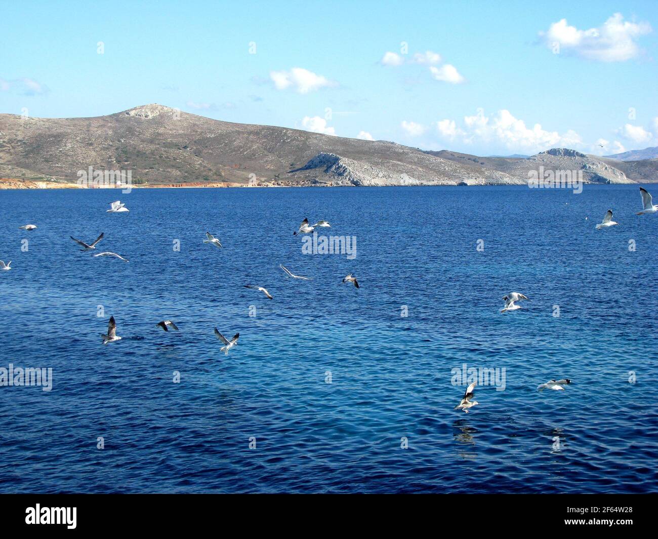 gabbiani su un mare egaino con uno splendido sfondo montano Foto Stock