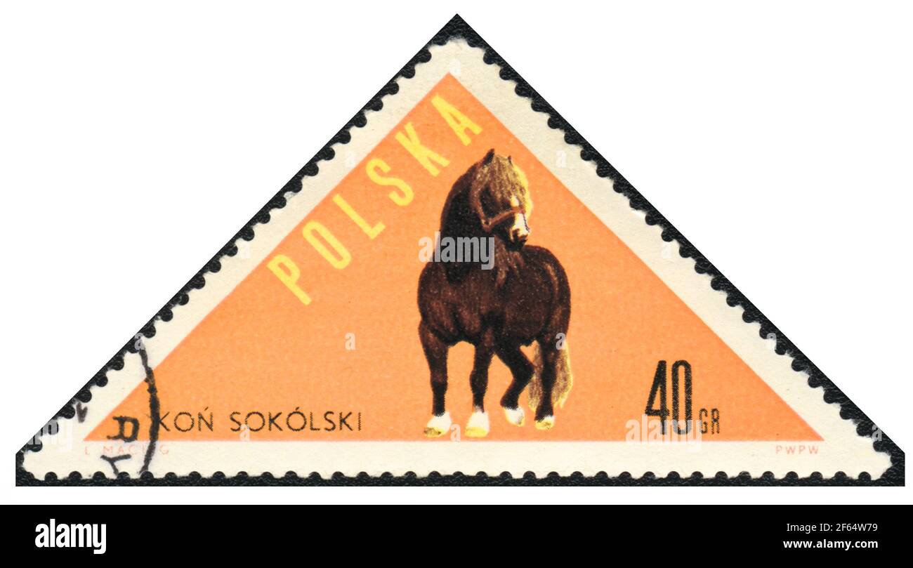 Un francobollo triangolare. Dray Horse Sokolsky dalla serie: Cavalli, Polonia, 1963, Foto Stock