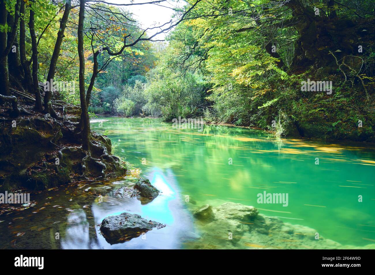 Alberi e letto di fiume con foglie cadute in autunno. Foto Stock