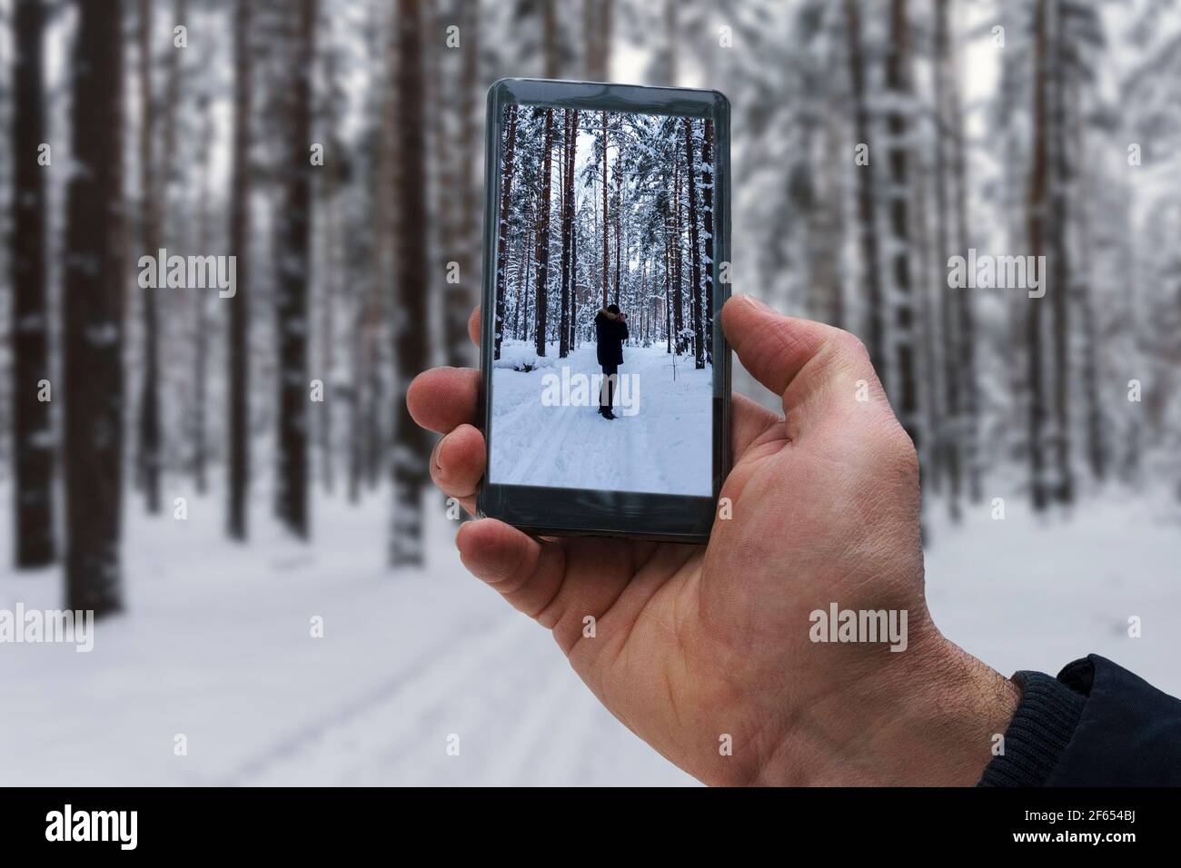 sessione fotografica nella foresta invernale, fotografando sullo smartphone di un altro fotografo Foto Stock