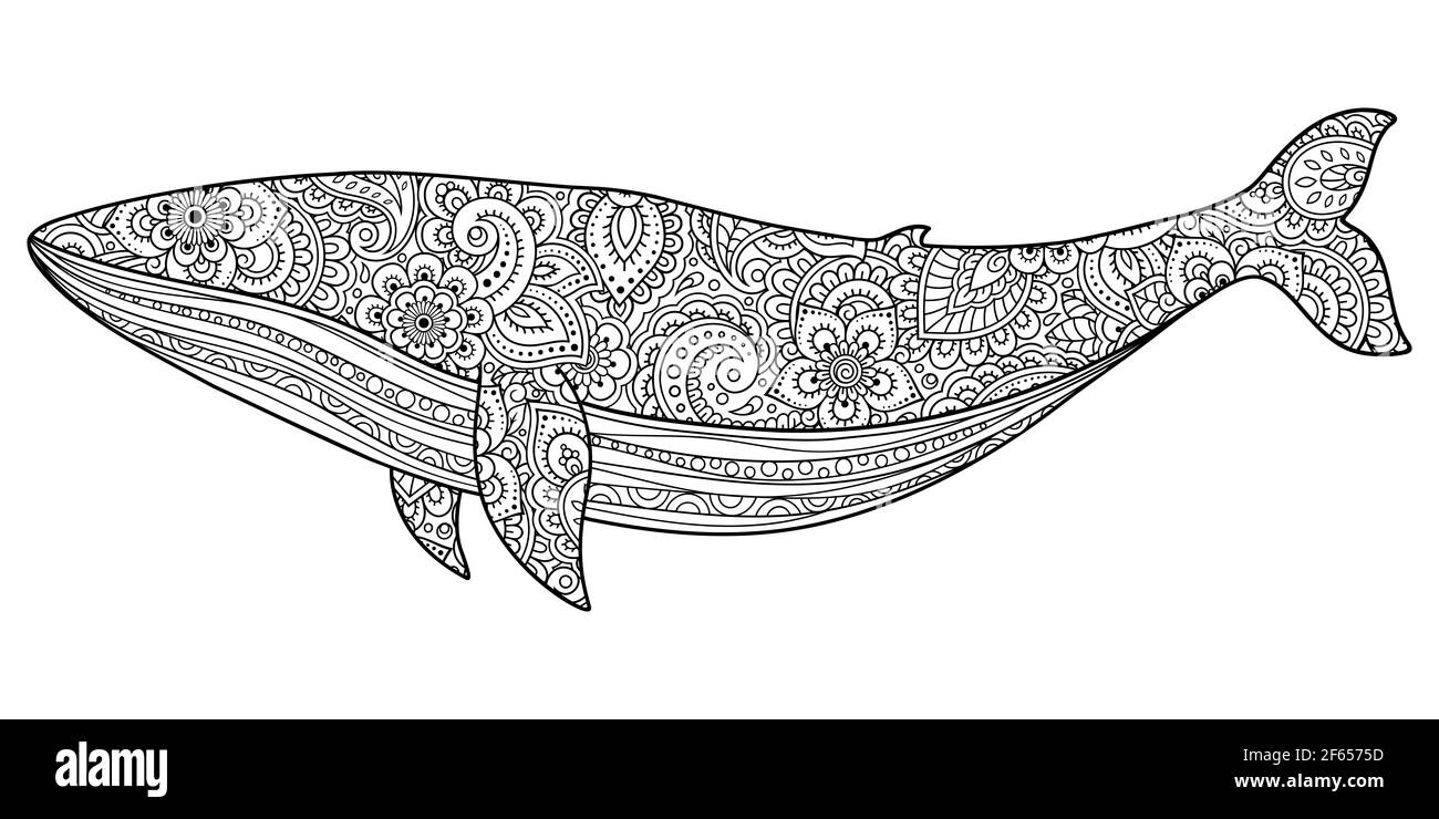 Whale è un mammifero marino fatto un motivo floreale con ornamenti orientali. Animale decorativo disegnato a mano in stile Doodle. Decorazione stilizzata di mehndi fo Foto Stock