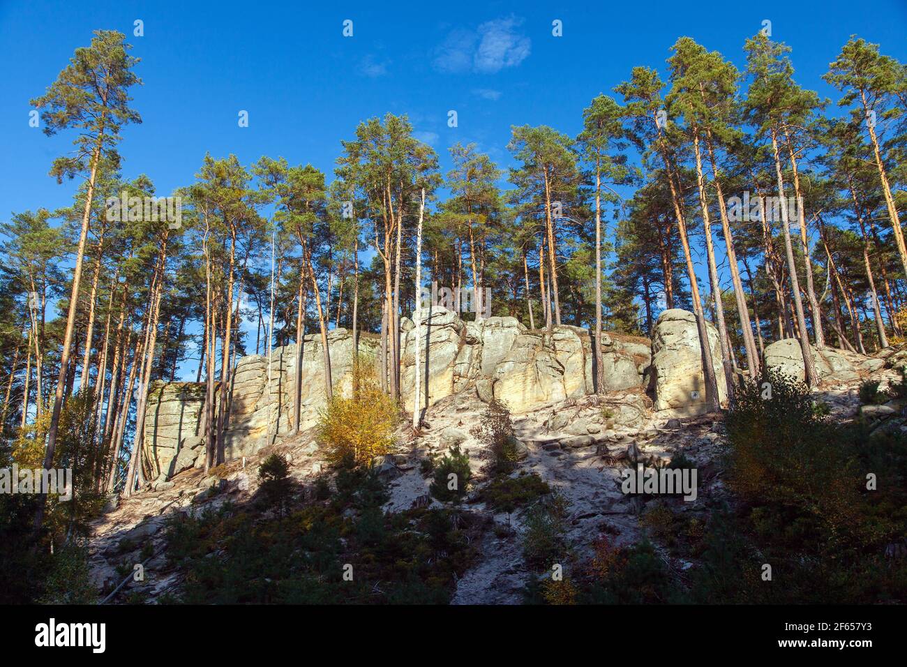 Mastale rockies o Tourovcovy mastale città rock vicino Prosec città, arenaria rockies in Repubblica Ceca Foto Stock