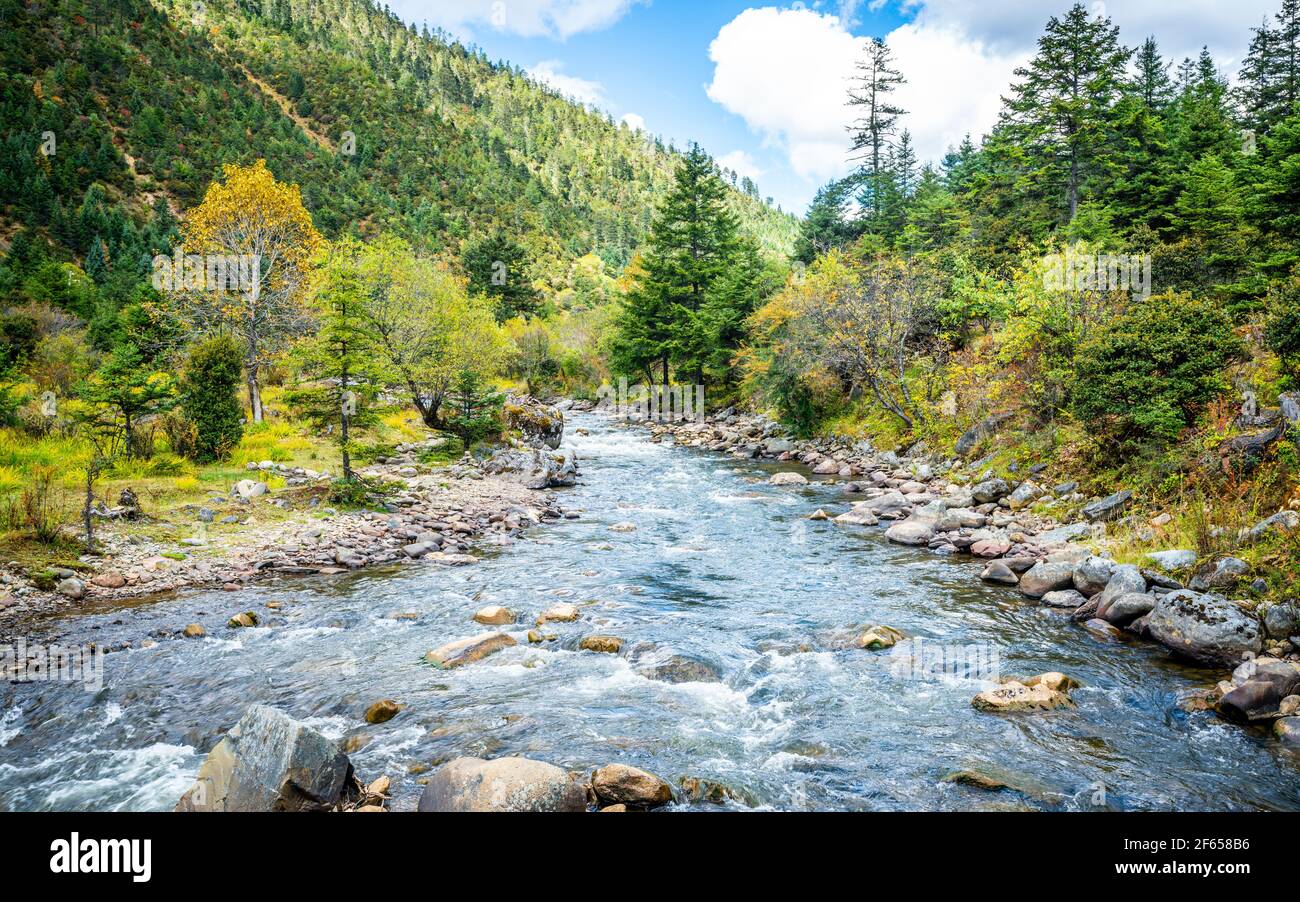 Vista sul torrente di montagna e sul paesaggio del parco nazionale di Potatso Yunnan Cina Foto Stock