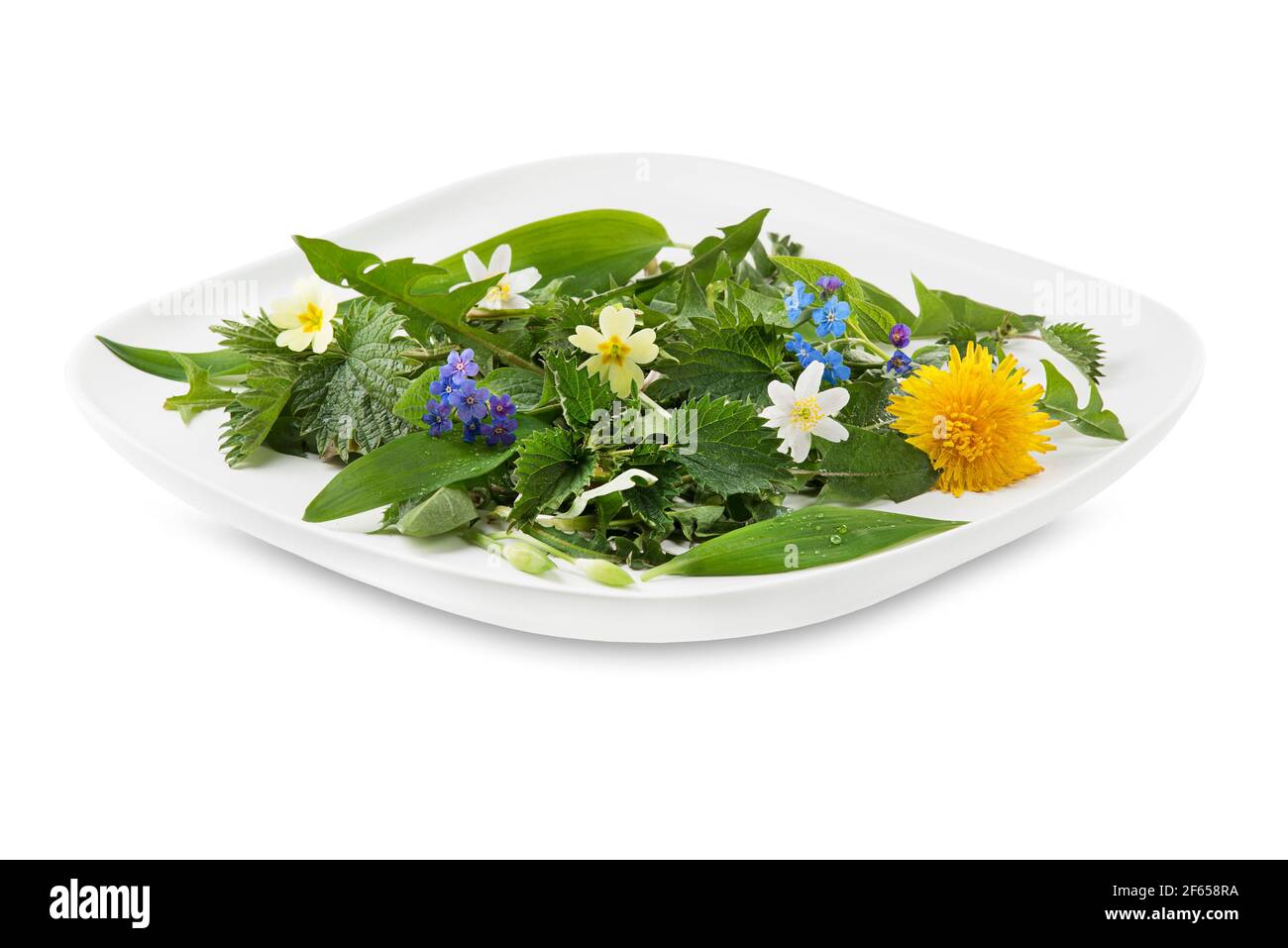 Piante di primavera sane per ingredienti alimentari. Dente di leone, aglio selvatico, fiori e ortica isolati su sfondo bianco Foto Stock