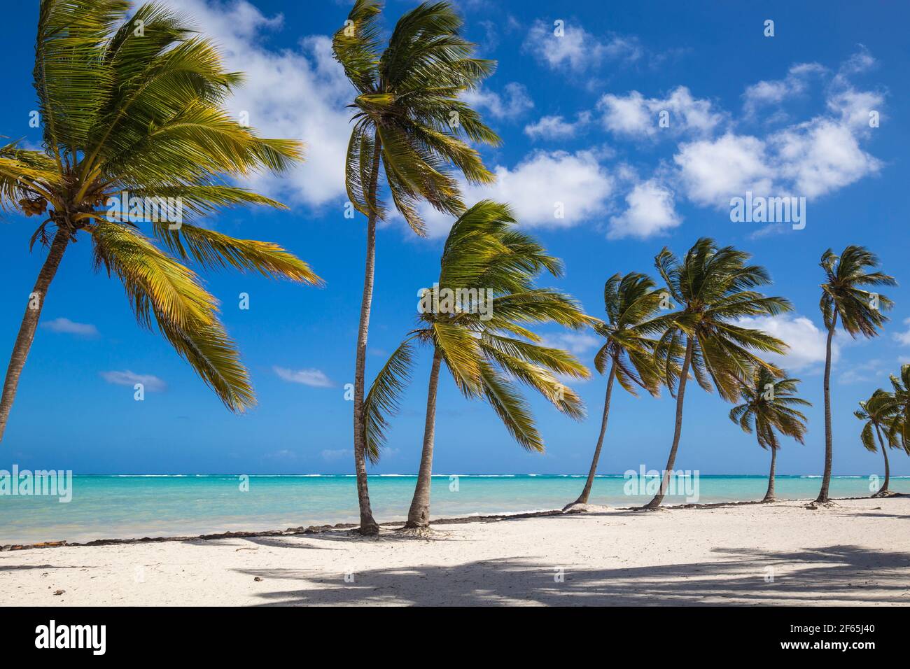 Repubblica Dominicana, Punta Cana, Cap Cana Foto Stock
