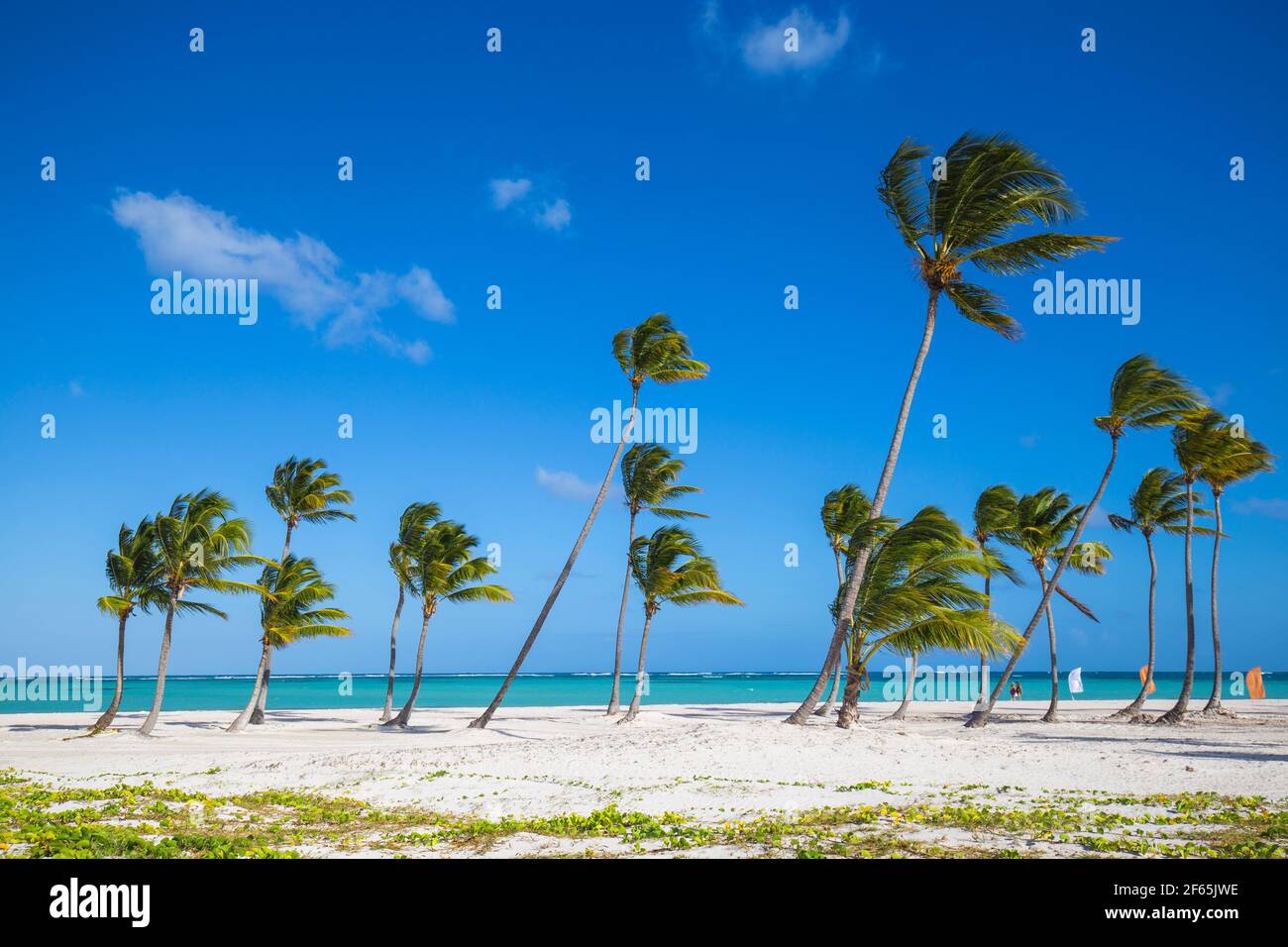 Repubblica Dominicana, Punta Cana, Cap Cana, Juanillo Beach Foto Stock