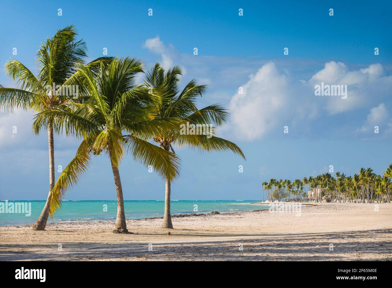 Repubblica Dominicana, Punta Cana, Cap Cana, Juanillo Beach Foto Stock