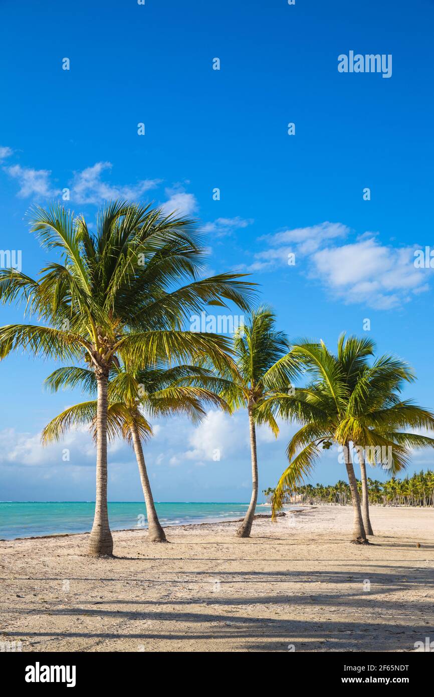 Repubblica Dominicana, Punta Cana, Cap Cana, Juanillo Beach Foto Stock