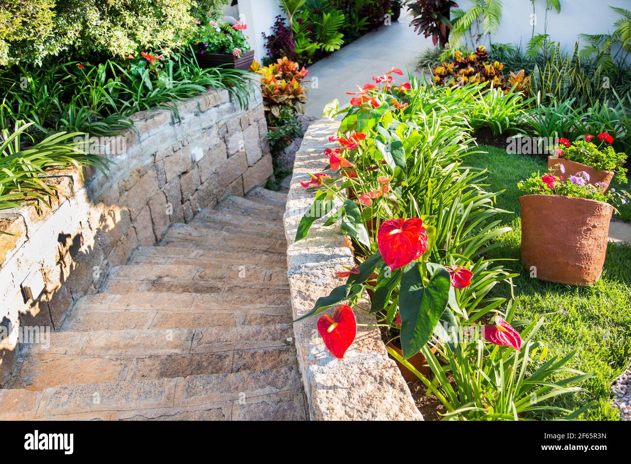 fiori e piante in giardino residenziale Foto Stock