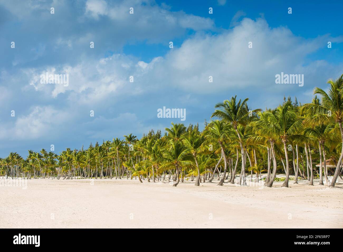 Repubblica Dominicana, Punta Cana, Cap Cana, Juanillo Beach Foto Stock