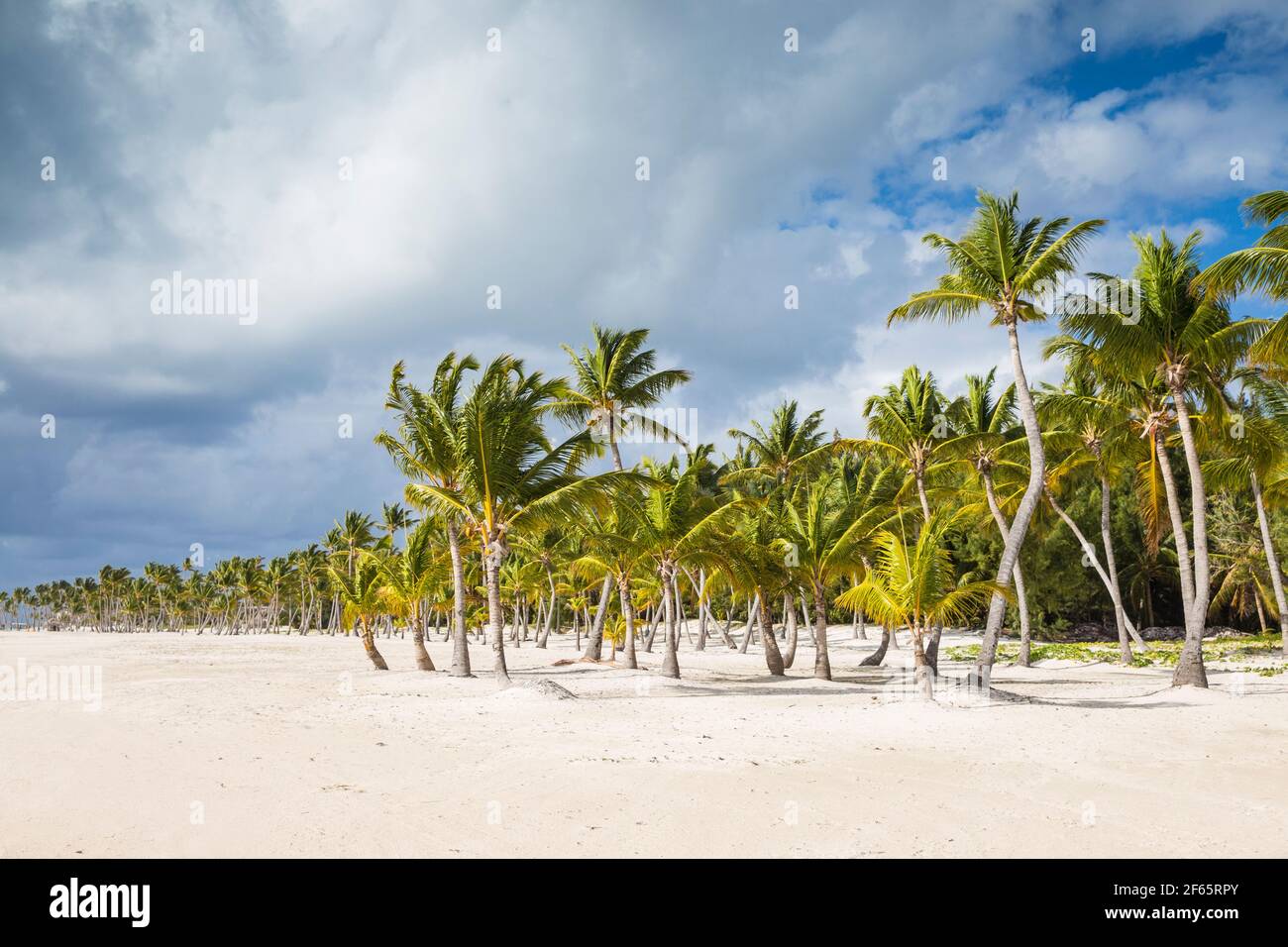 Repubblica Dominicana, Punta Cana, Cap Cana, Juanillo Beach Foto Stock