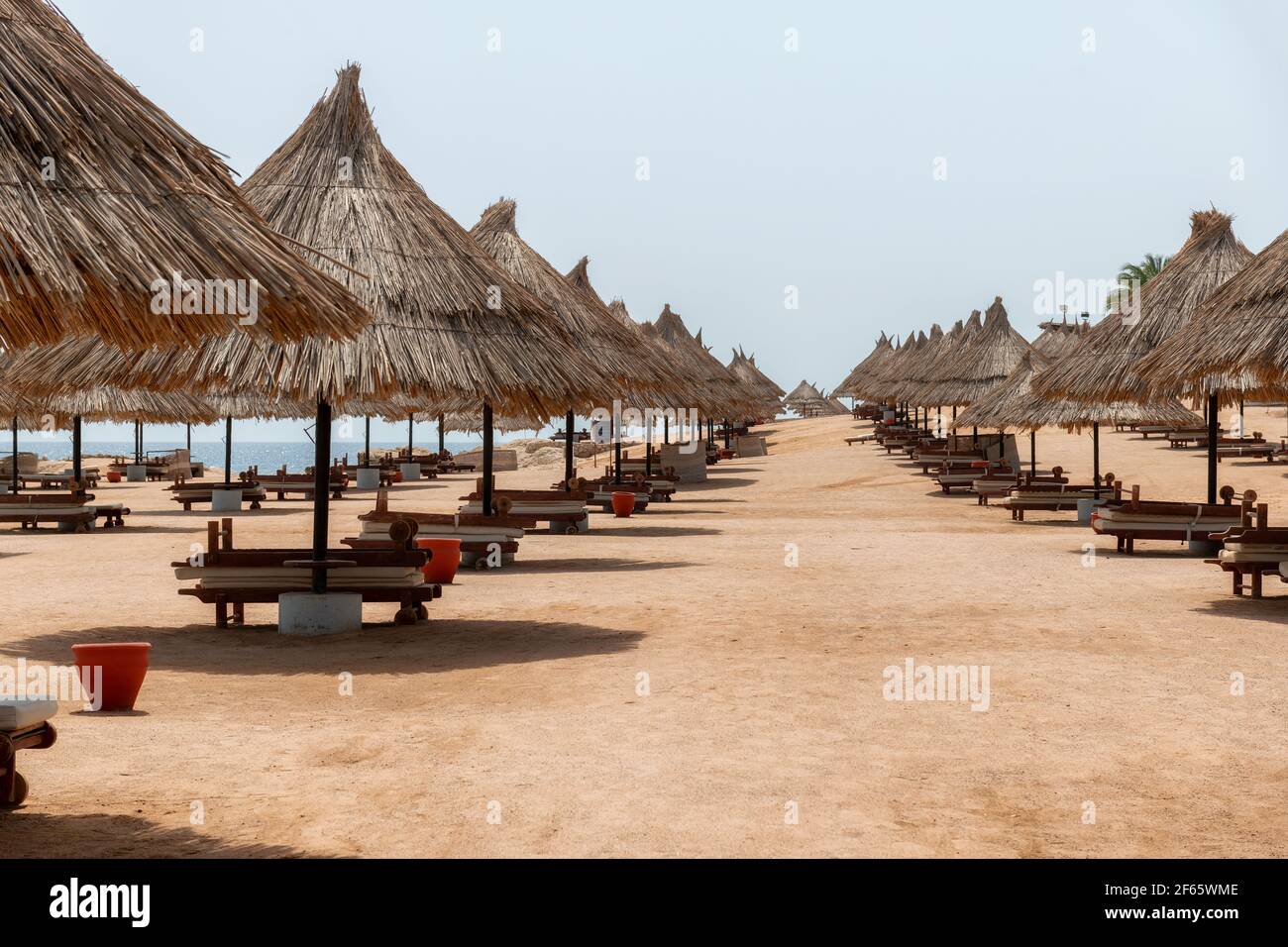 Ombrelloni di paglia in esotica spiaggia tropicale nel Mar Rosso Foto Stock