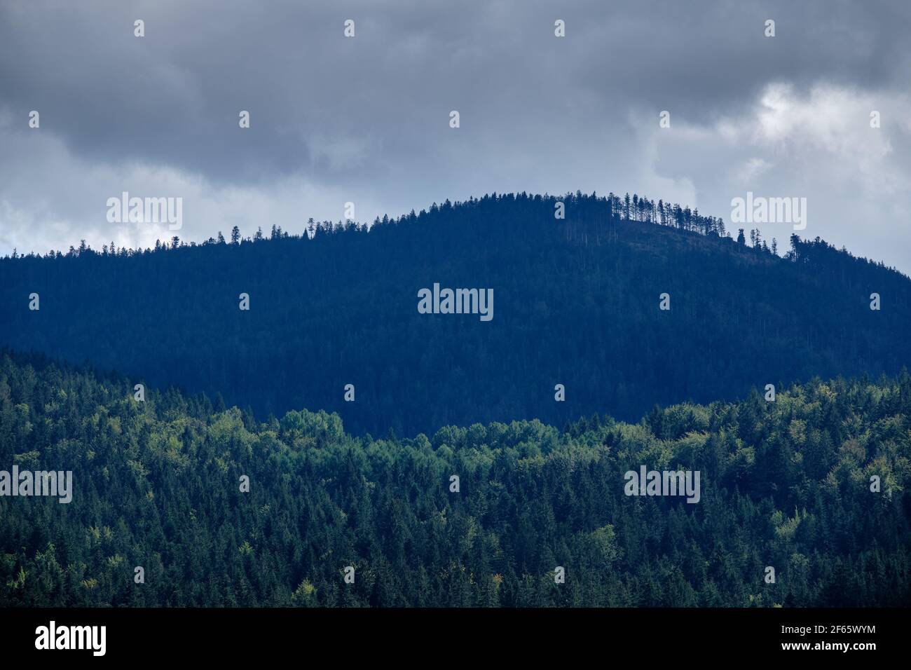 Vista sulle montagne boscose della Foresta Bavarese intorno a Frahels - Lam con nuvole grigie che si frappongono alcune piogge estive. Visto in Germania nel mese di agosto. Foto Stock